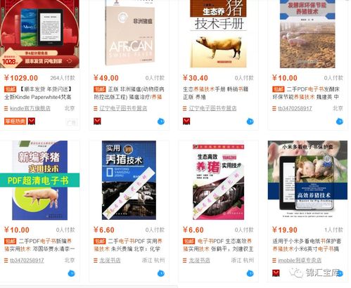锦汇宝库新手必看 二 为什么选择虚拟产品做为赚钱项目