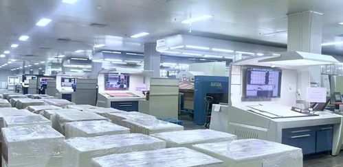 高宝探厂丨探寻大洪包装 从0到1 的奥秘